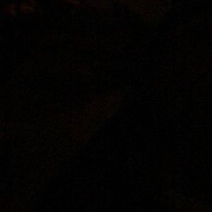 Meet your Posher, Joey